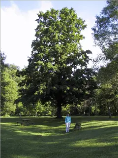 small_000628 rochesterIMG_4746.webp